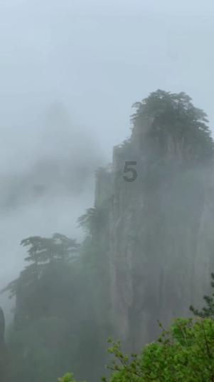 阿尔的派对夜